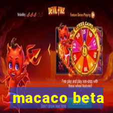 macaco beta