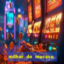 milhar do macaco que mais saem no jogo do bicho