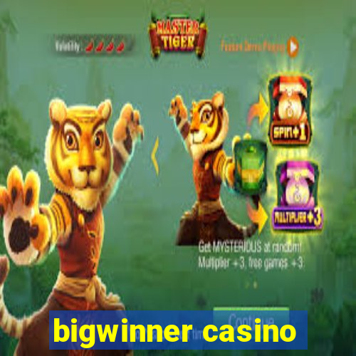 bigwinner casino