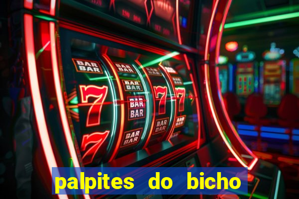 palpites do bicho no celular