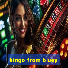 bingo from bluey