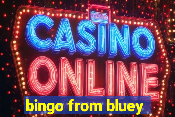 bingo from bluey