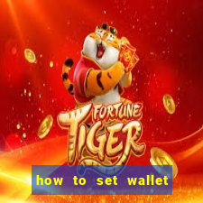 how to set wallet password in bingo plus