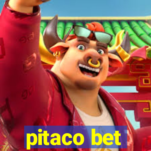 pitaco bet