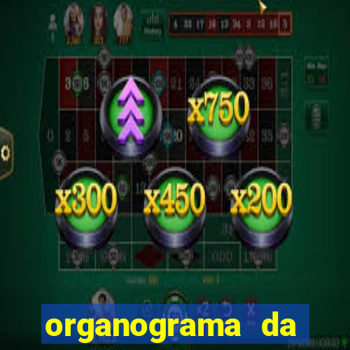 organograma da cacau show