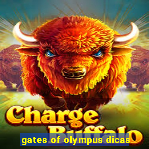 gates of olympus dicas