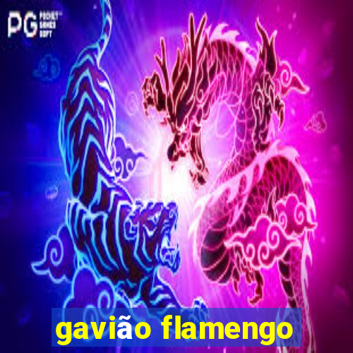 gavião flamengo