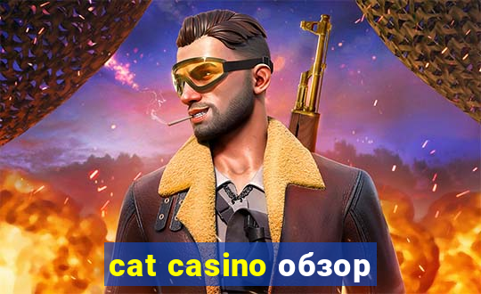 cat casino обзор