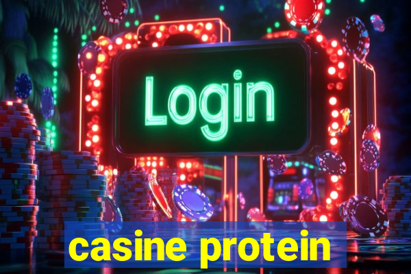 casine protein