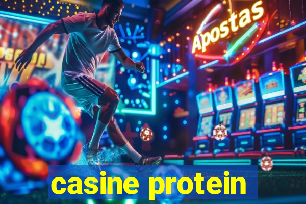 casine protein