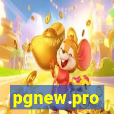 pgnew.pro