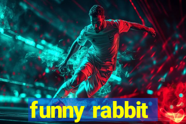 funny rabbit