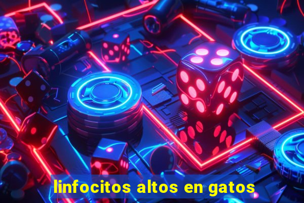 linfocitos altos en gatos