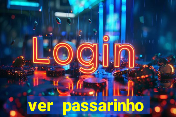 ver passarinho morto significado