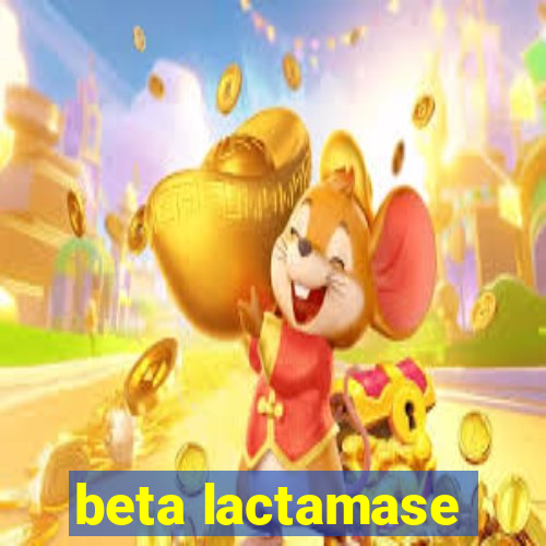 beta lactamase