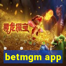 betmgm app