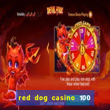 red dog casino 100 free spins