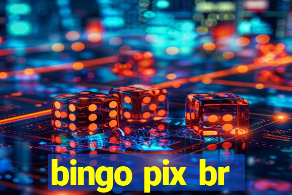 bingo pix br