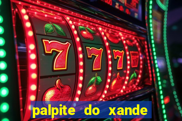 palpite do xande de hoje