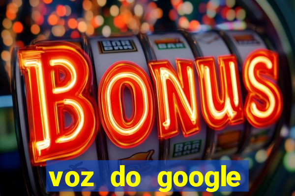 voz do google tradutor homem