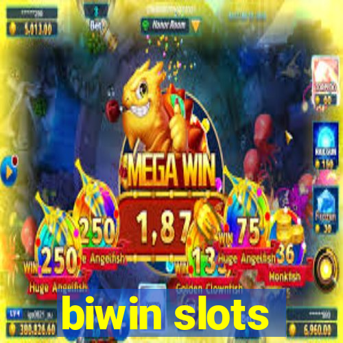 biwin slots