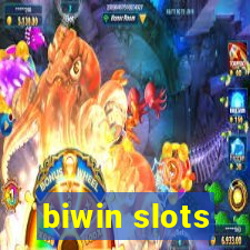 biwin slots