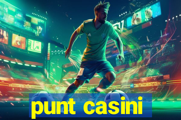 punt casini