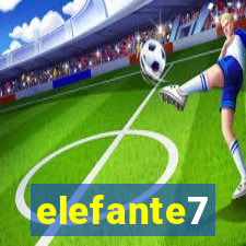 elefante7