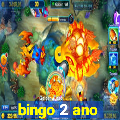 bingo 2 ano