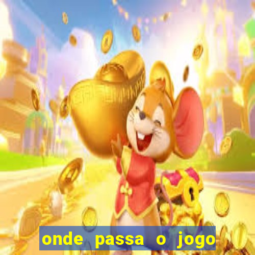 onde passa o jogo do brasil