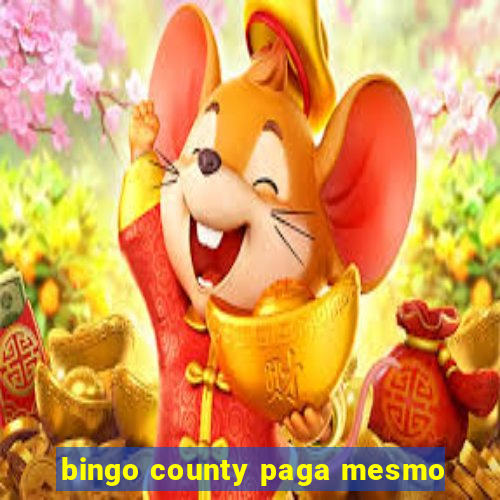 bingo county paga mesmo