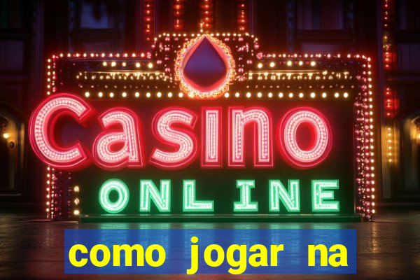 como jogar na loteria gringa online