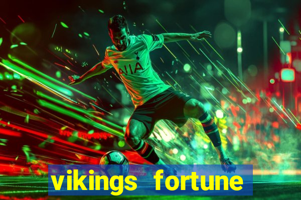 vikings fortune hold and win slot