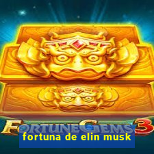 fortuna de elin musk