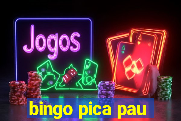 bingo pica pau