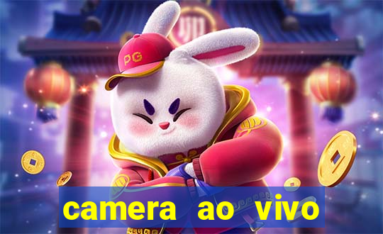 camera ao vivo terminal vila nova cachoeirinha