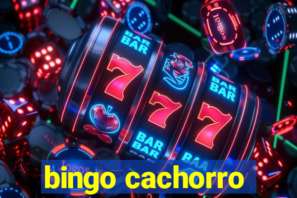 bingo cachorro