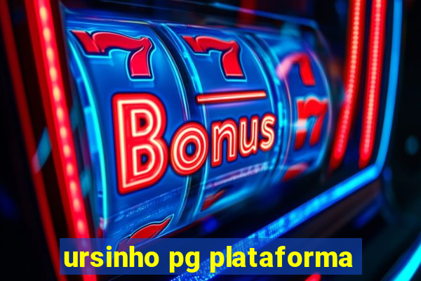 ursinho pg plataforma