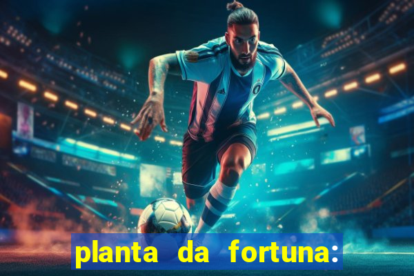 planta da fortuna: como cuidar