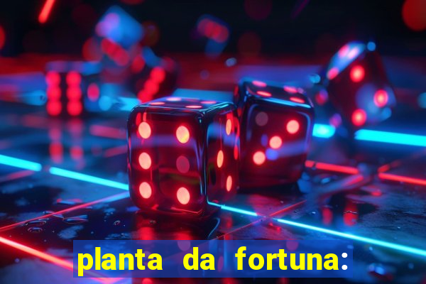 planta da fortuna: como cuidar