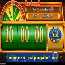 numero papagaio no jogo do bicho