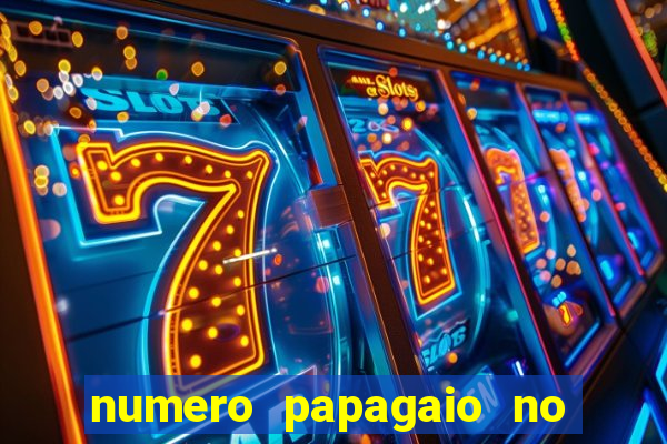 numero papagaio no jogo do bicho