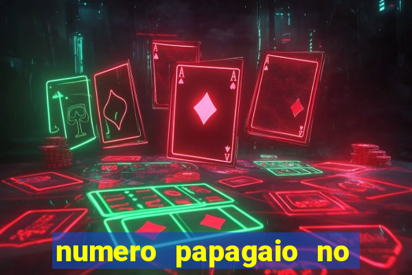 numero papagaio no jogo do bicho