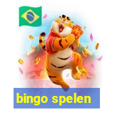 bingo spelen