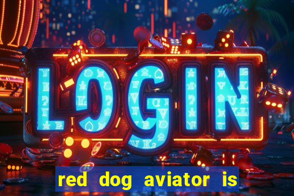 red dog aviator is real or fake