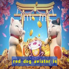 red dog aviator is real or fake