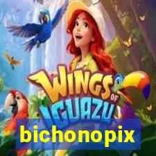 bichonopix