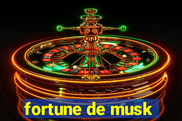 fortune de musk