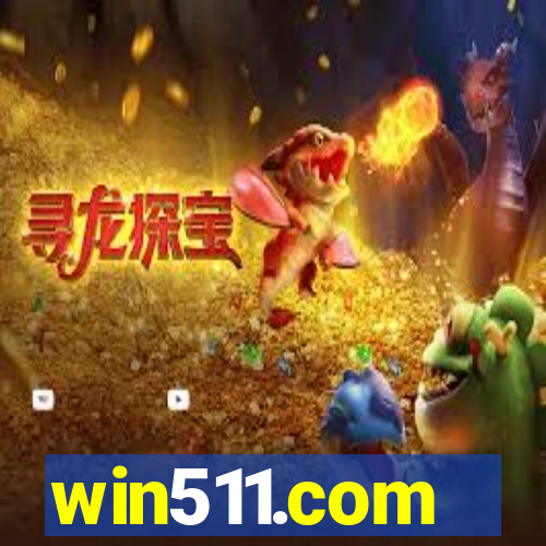 win511.com