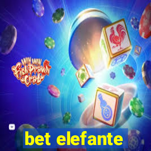 bet elefante